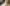 Puls, Atmung und weitere Vitalwerte von Katzen